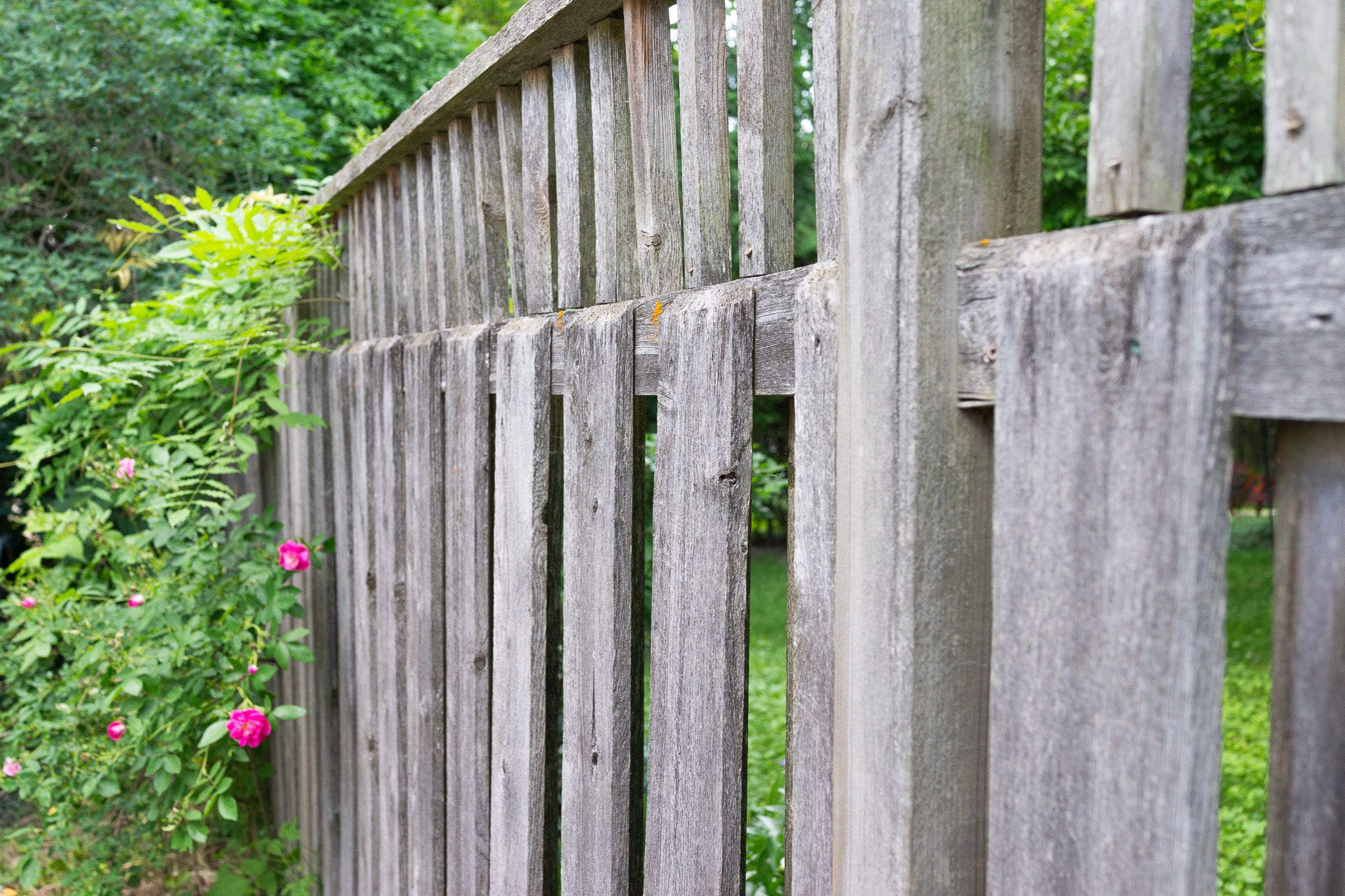 How and Where to Install a Solitary Bee House - Scopa