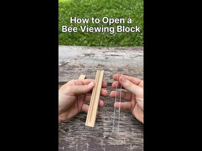 Bee Viewing Blocks